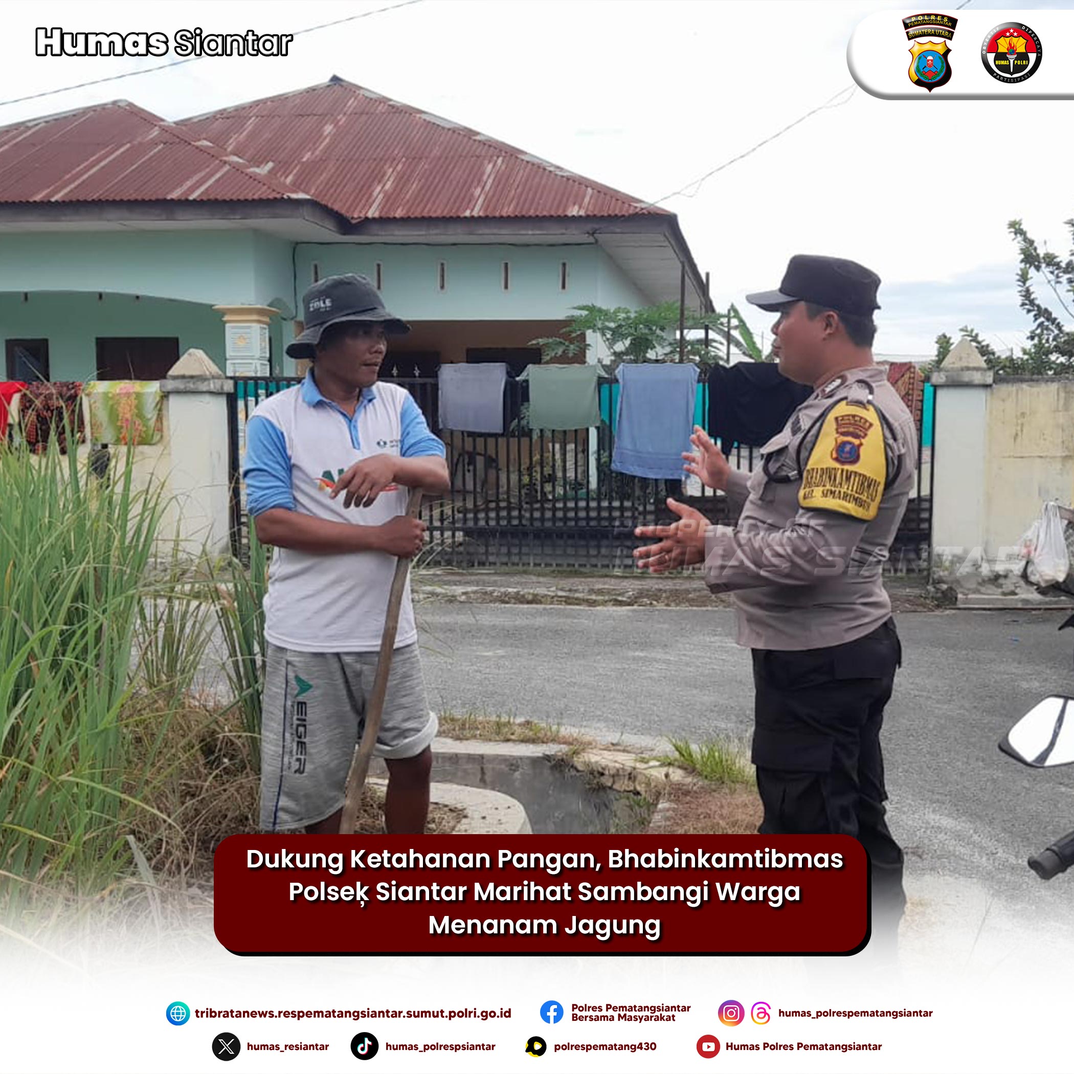Dukung Ketahanan Pangan, Bhabinkamtibmas Polseķ Siantar Marihat Sambangi Warga Menanam Jagung