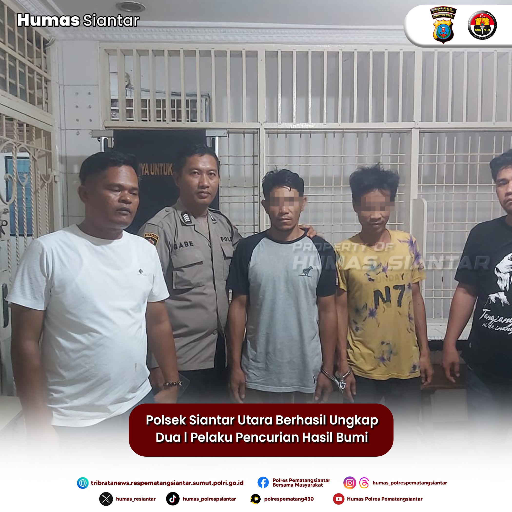 Polsek Siantar Utara Berhasil Ungkap Dua l Pelaku Pencurian Hasil Bumi