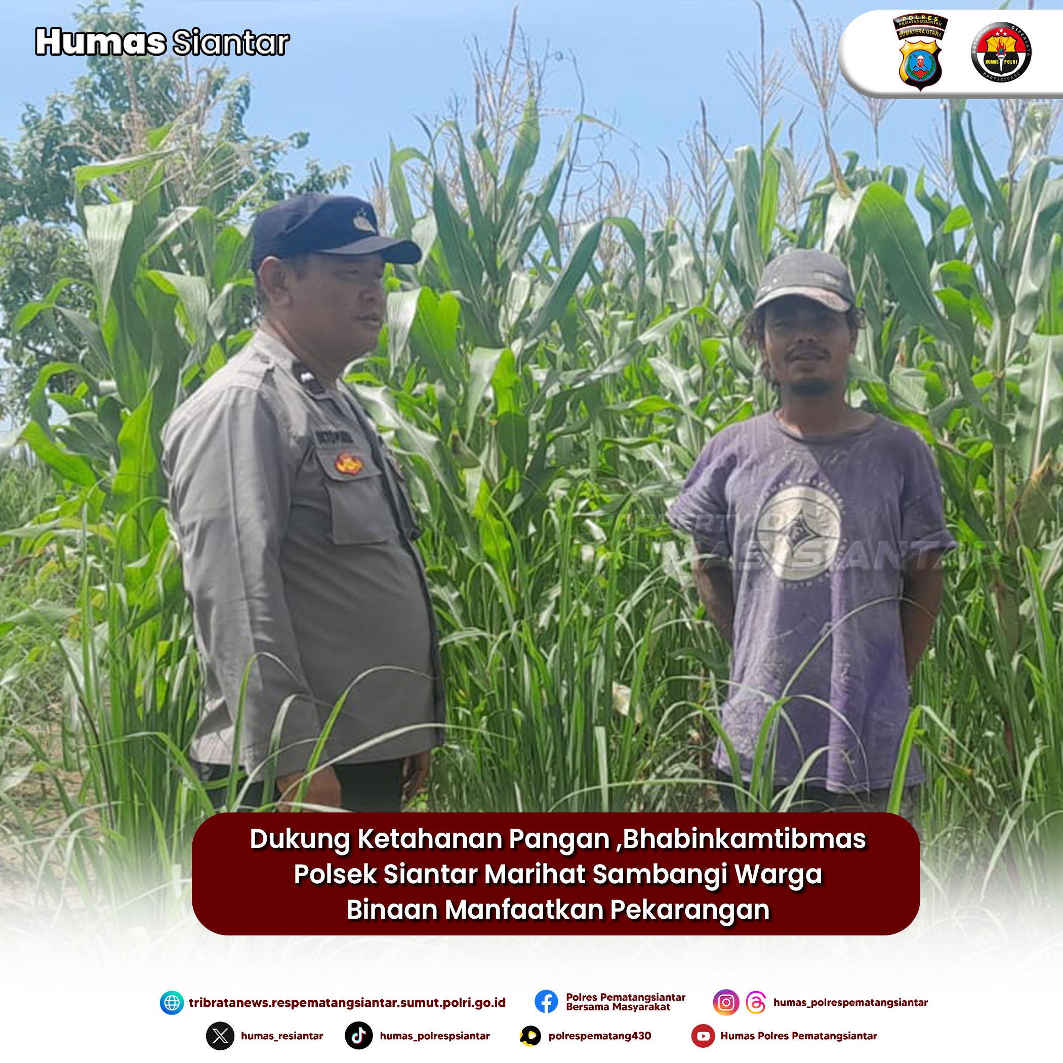 Dukung Ketahanan Pangan ,Bhabinkamtibmas Polsek Siantar Marihat Sambangi Warga Binaan Manfaatkan Pekarangan