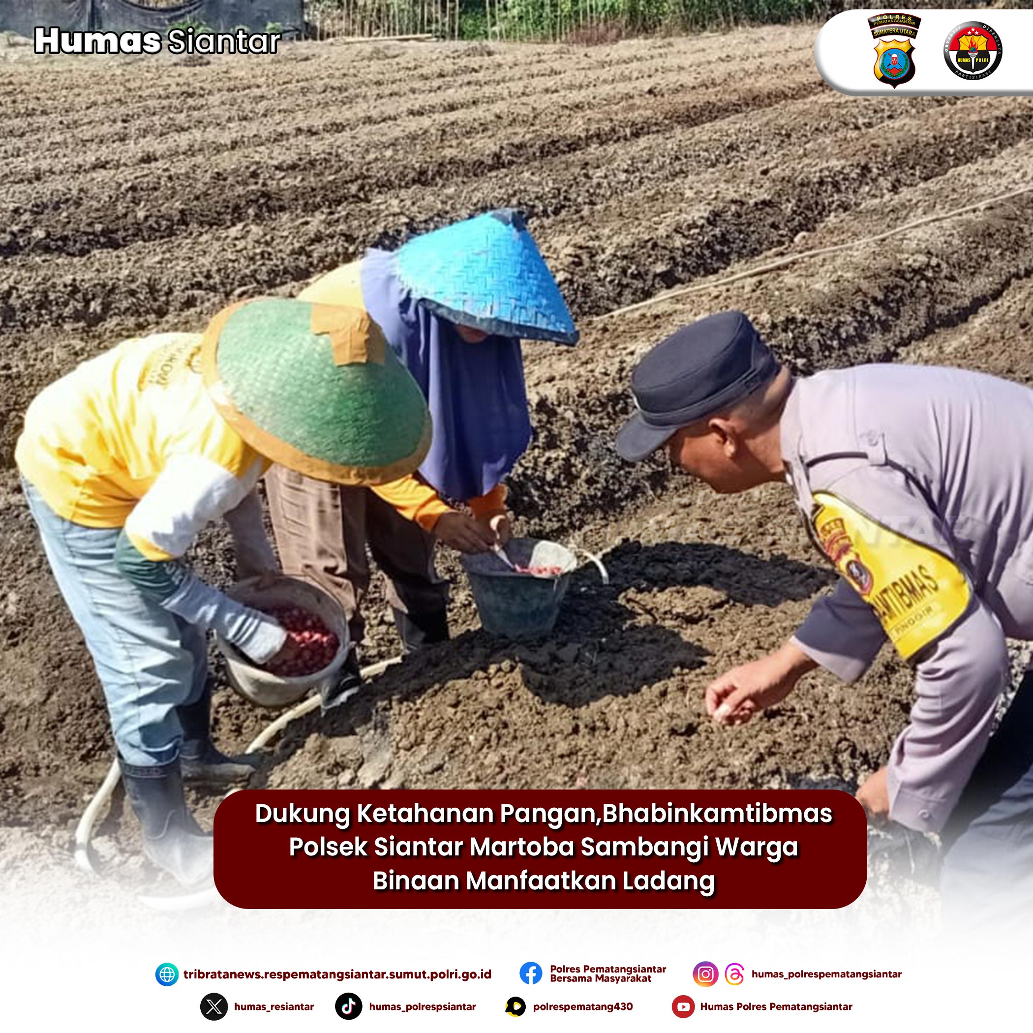 Dukung Ketahanan Pangan,Bhabinkamtibmas Polsek Siantar Martoba Sambangi Warga Binaan Manfaatkan Ladang